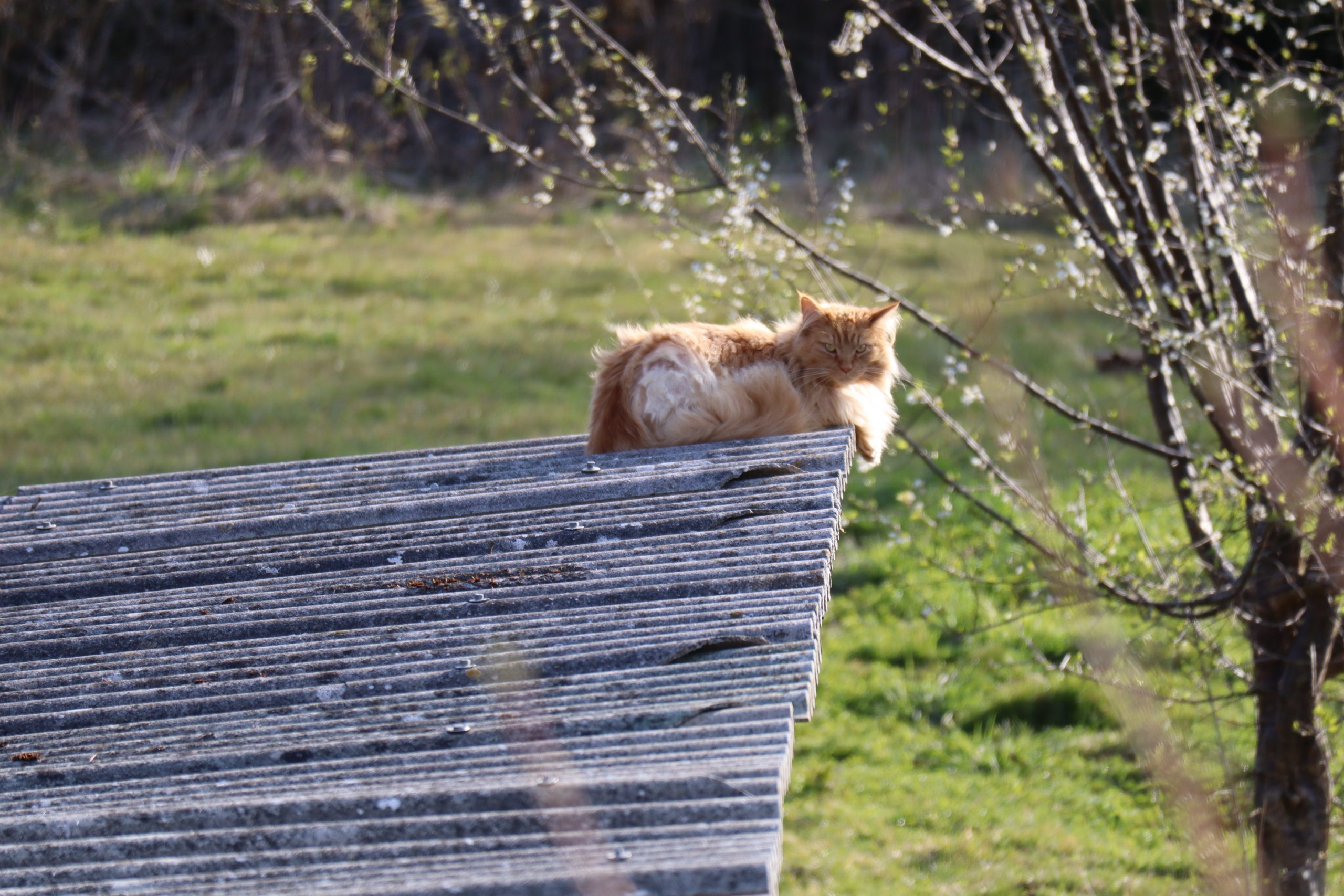 she seems to see through you