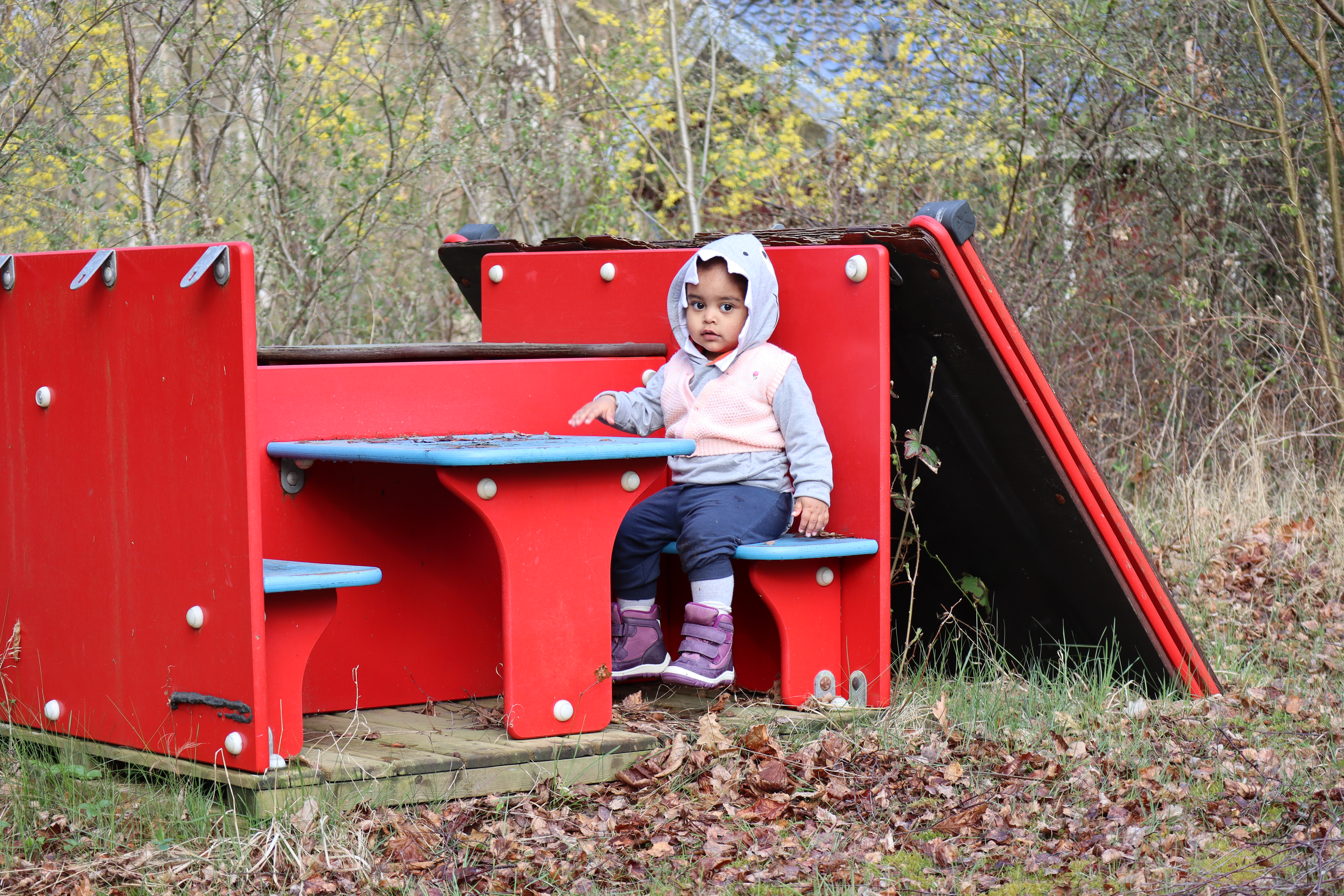 the daily breakfast table