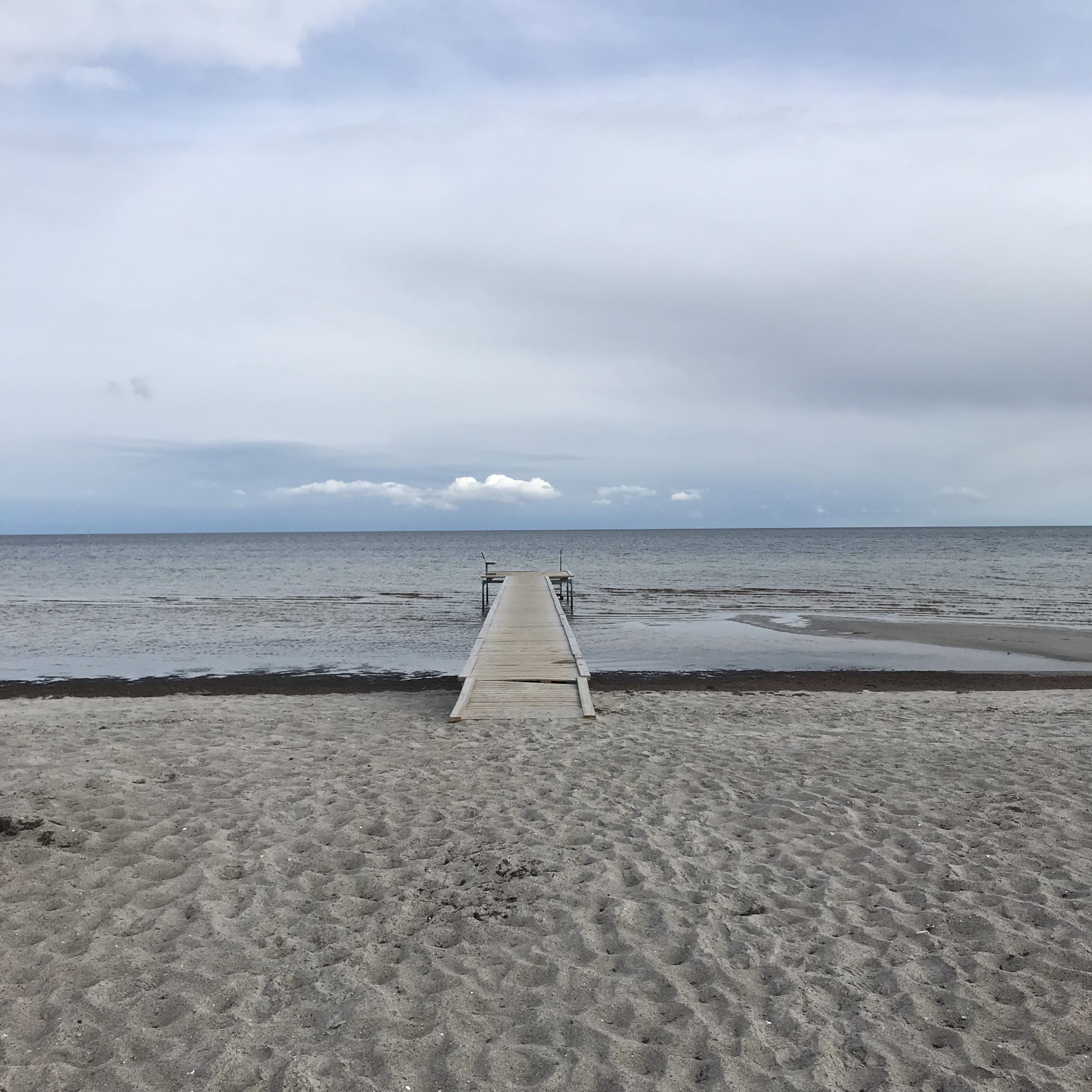 remembrance and bon voyage to near and dear ones whom we have lost